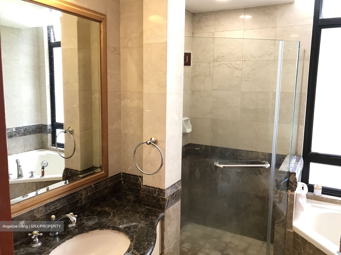 The Sterling (D21), Condominium #573668321